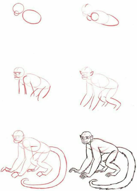 How to draw Monkey idea (21)