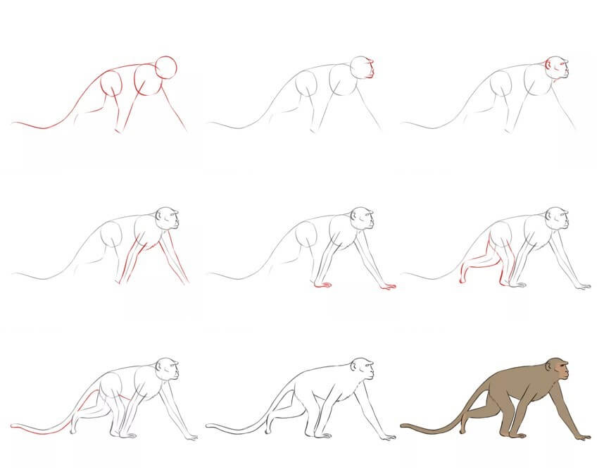 How to draw Monkey idea (52)