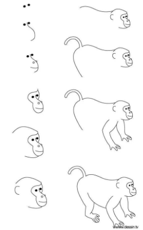 Monkey idea 6 Drawing Ideas