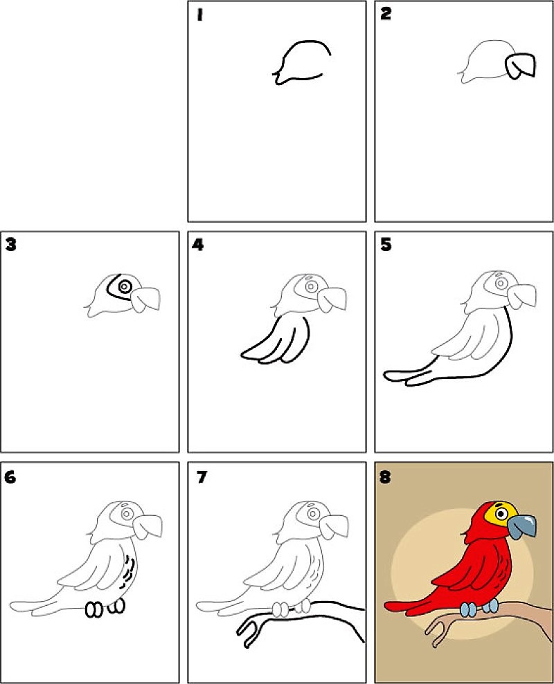 Parrot idea 11 Drawing Ideas