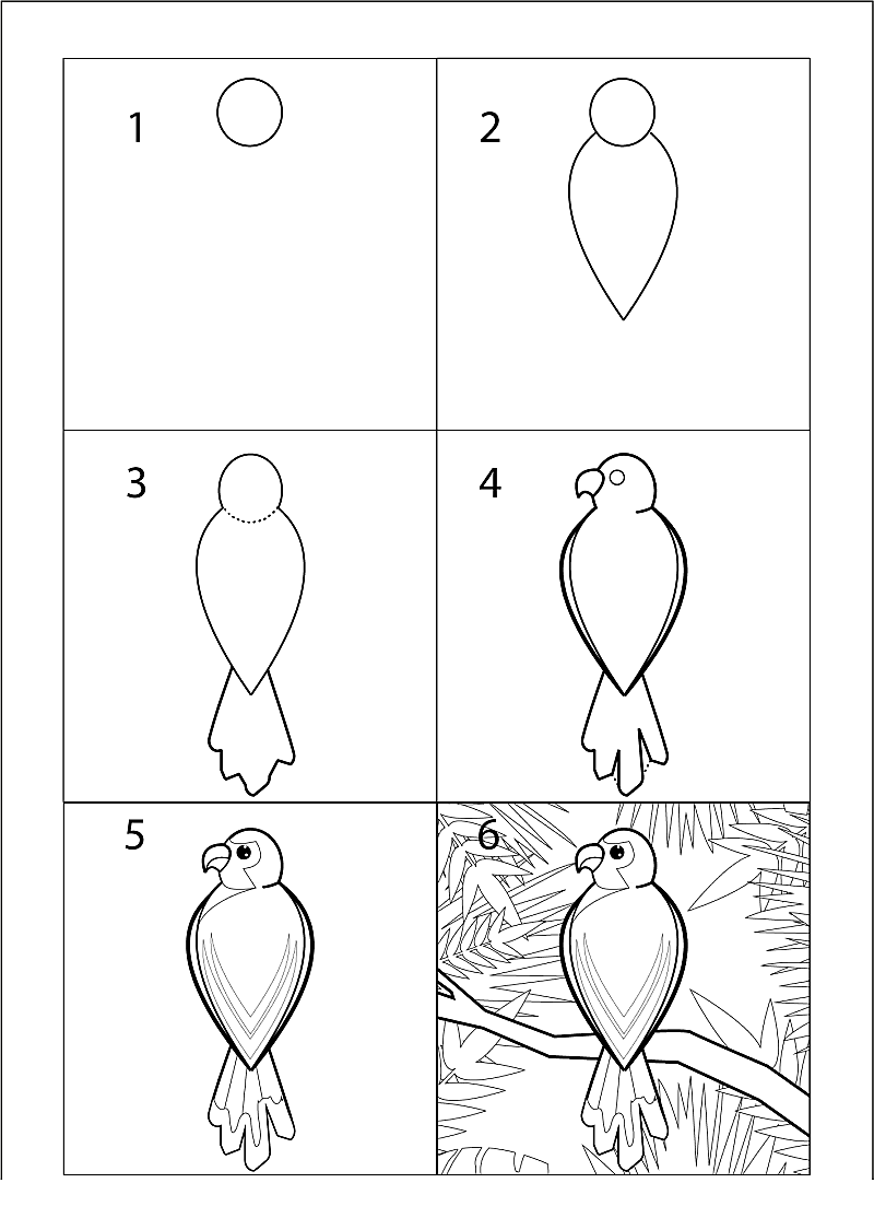 Parrot idea 13 Drawing Ideas