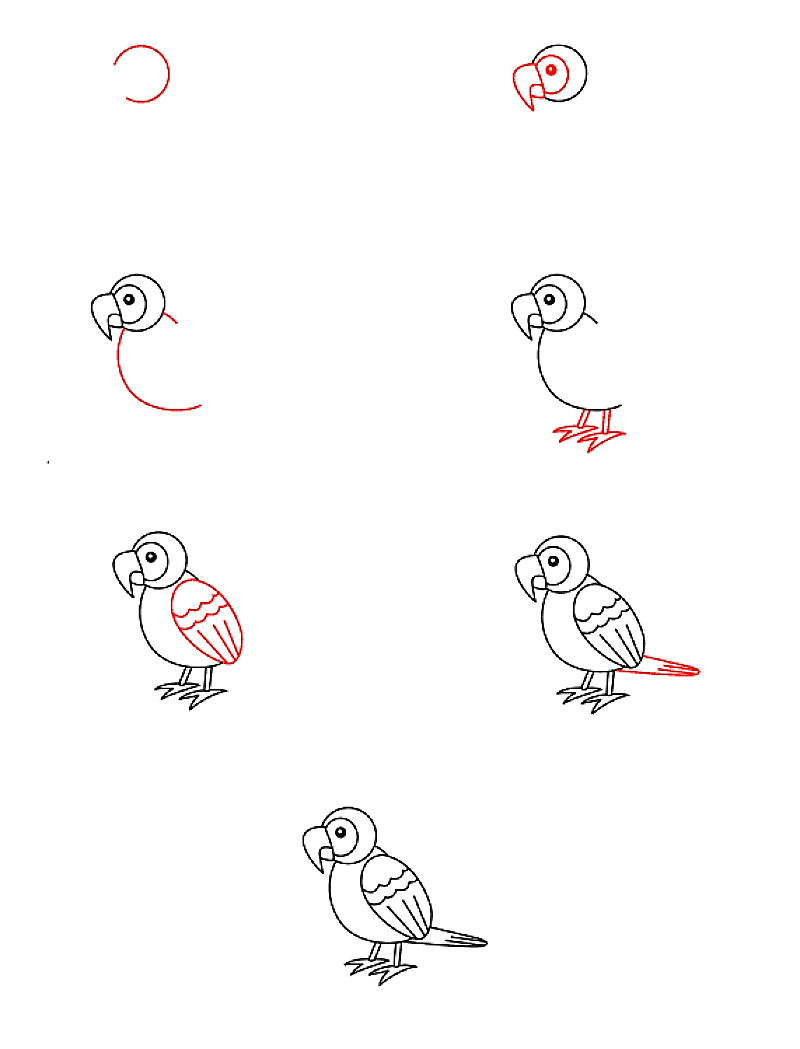 Parrot idea 14 Drawing Ideas