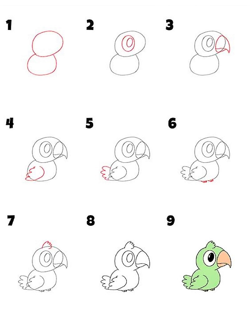 Parrot idea 5 Drawing Ideas