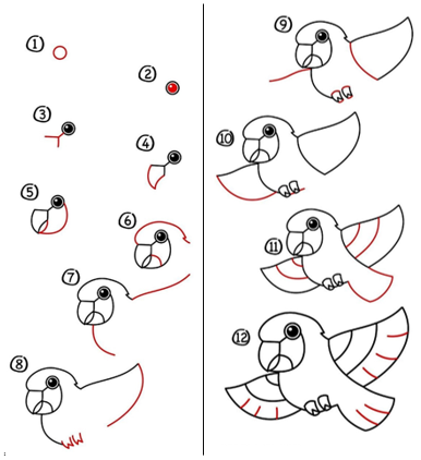 Parrot idea 6 Drawing Ideas