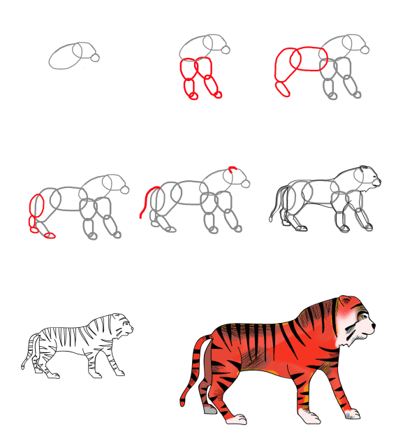 How to draw Realistic tiger 3