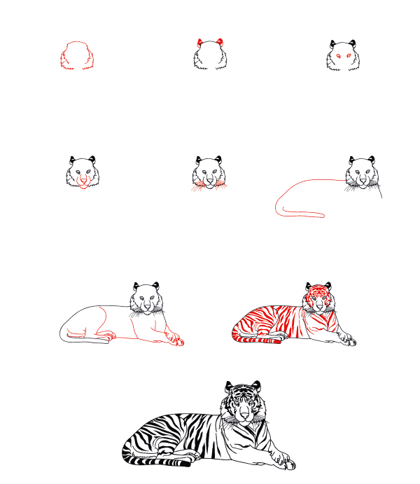 How to draw Realistic tiger