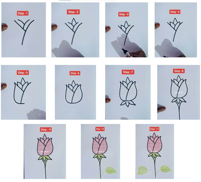 How to draw simple rose flower