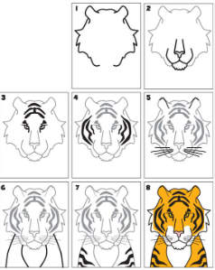 Tiger head Drawing Ideas