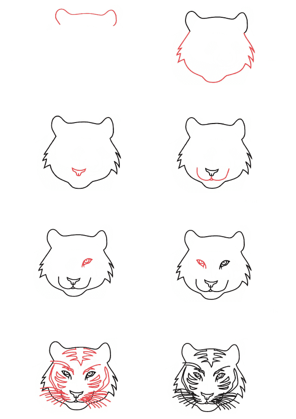 How to draw Tiger head