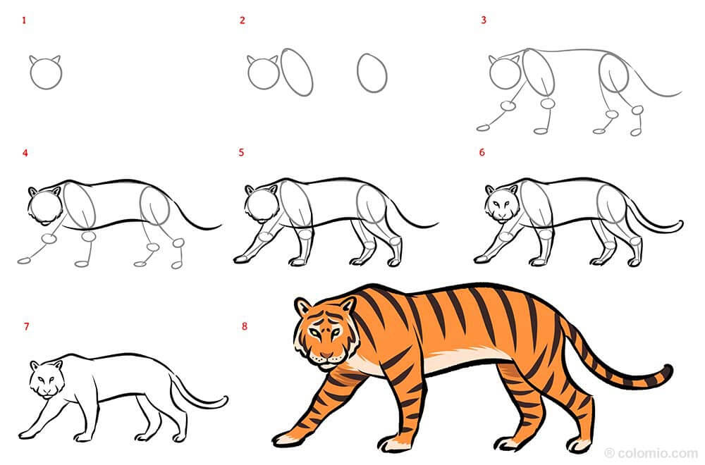 How to draw Tiger idea (13)