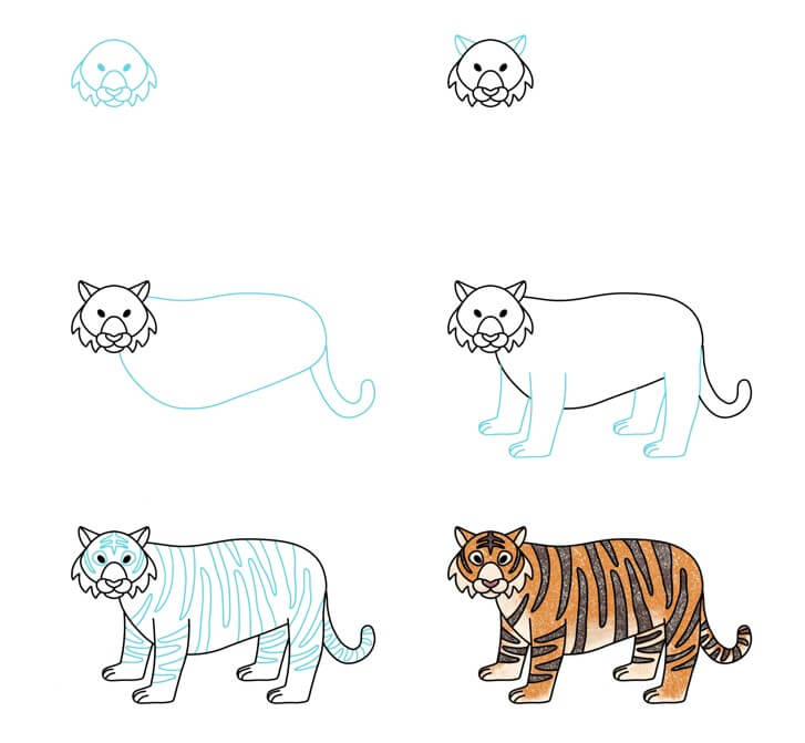 How to draw Tiger idea (16)