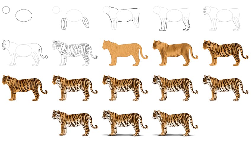 How to draw Tiger idea (26)