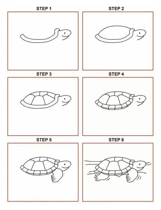 How to draw Turtle idea (11)