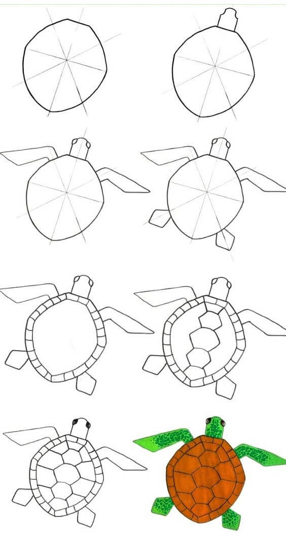 How to draw Turtle idea (14)