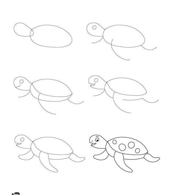 How to draw Turtle idea (15)