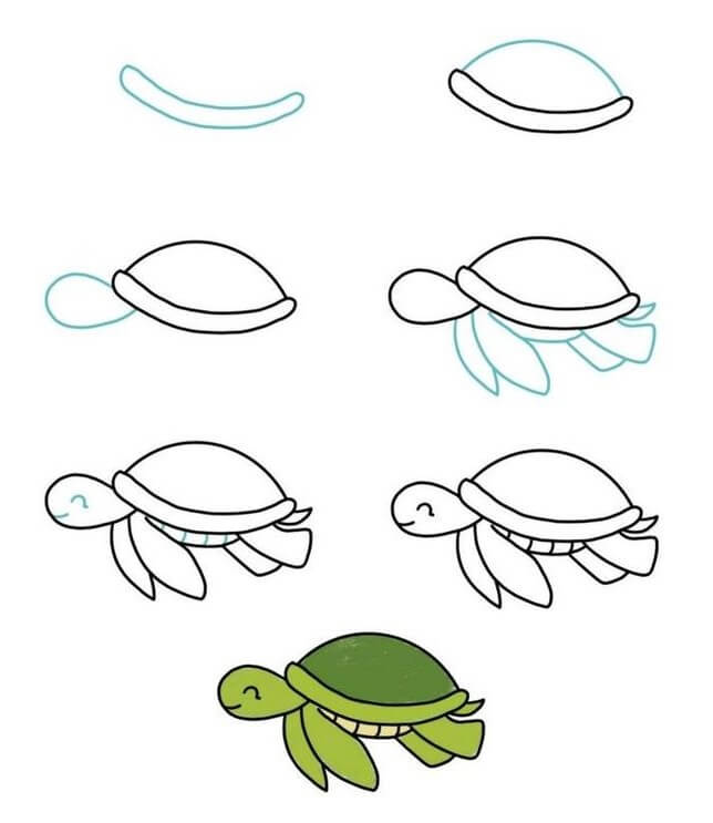 How to draw Turtle idea (16)