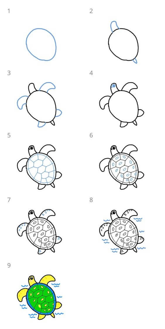 How to draw Turtle idea (18)