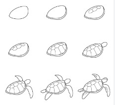 Turtle idea 2 Drawing Ideas