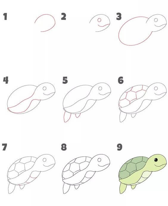 How to draw Turtle idea (28)