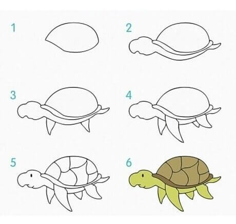 How to draw Turtle idea (30)