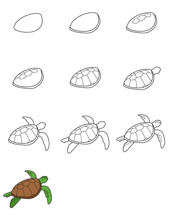 How to draw Turtle idea (35)