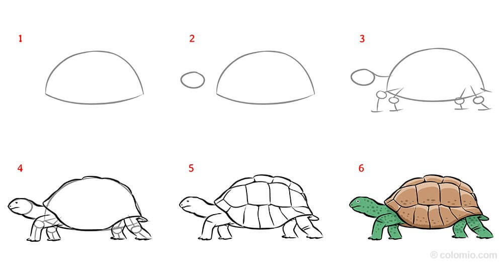 How to draw Turtle idea (39)