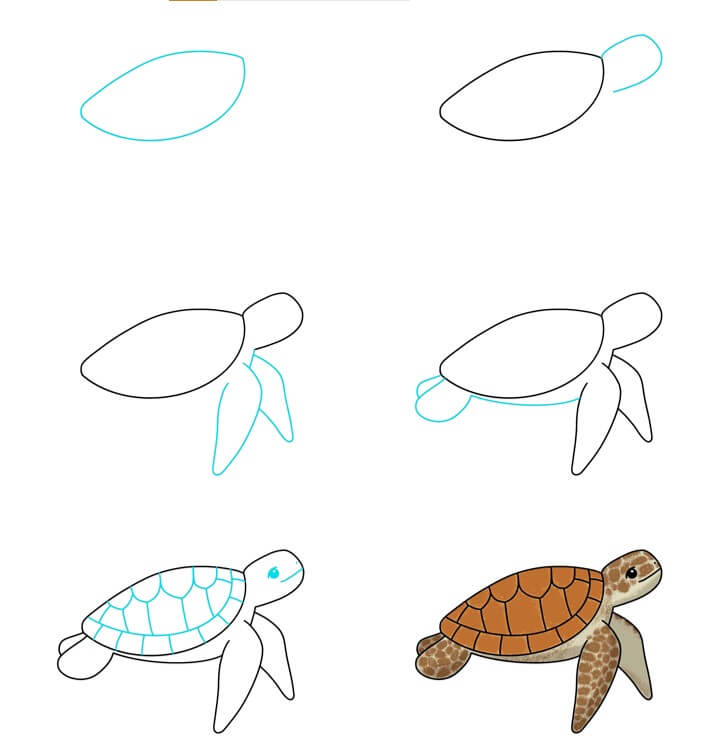 How to draw Turtle idea (41)