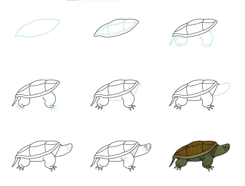 How to draw Turtle idea (42)