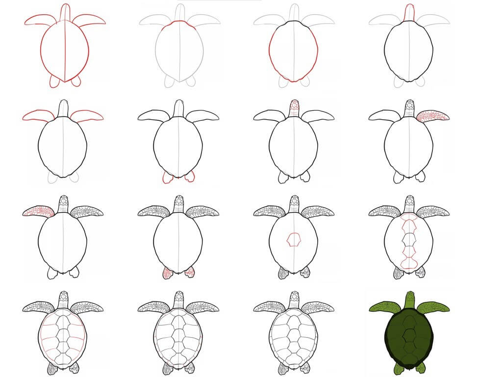 How to draw Turtle idea (43)