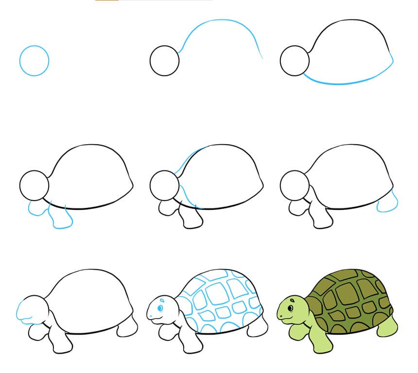 How to draw Turtle idea (46)