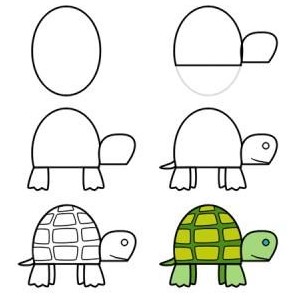 Turtle idea 5 Drawing Ideas