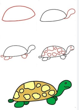 Turtle idea 8 Drawing Ideas