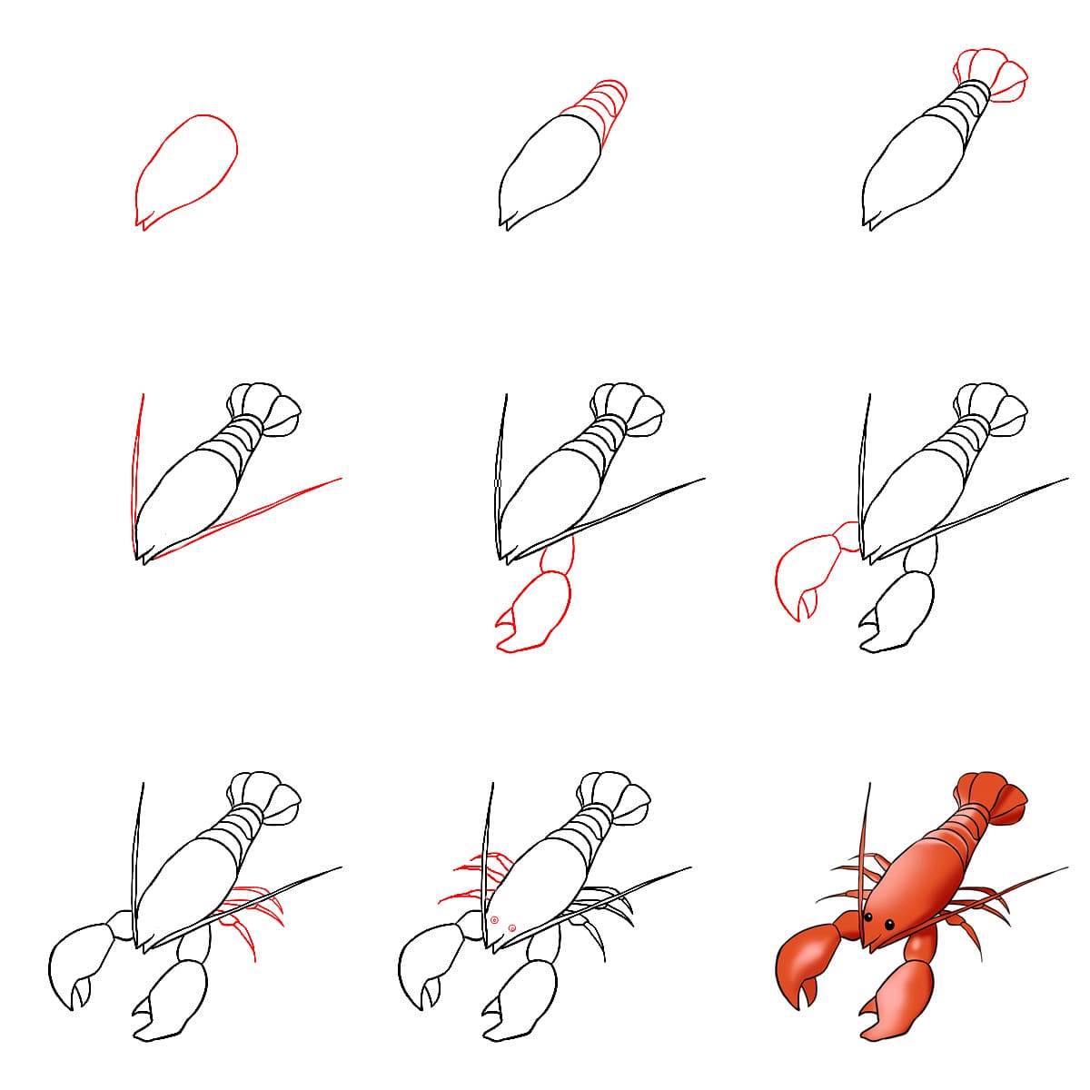 How to draw Big Shrimp