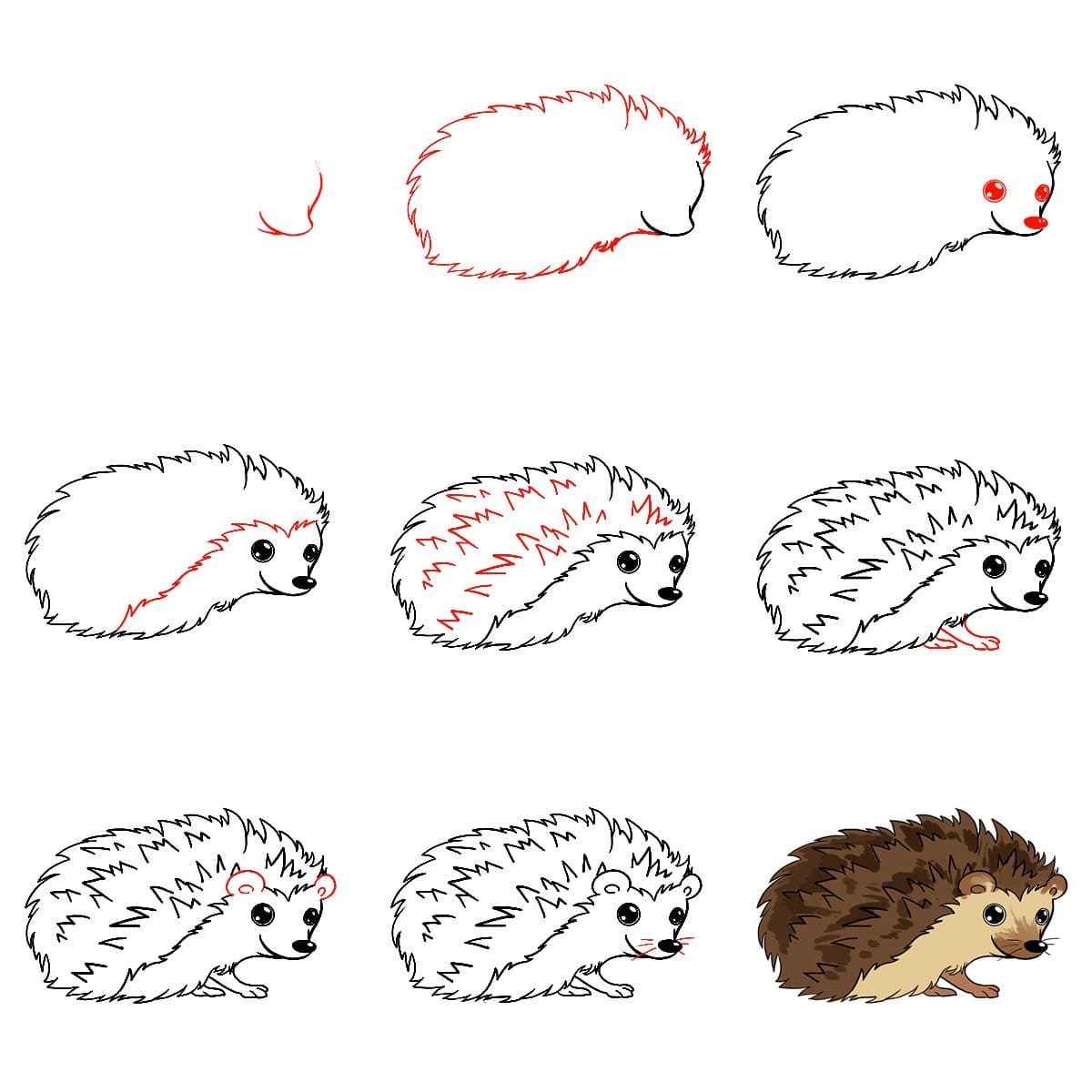 Hedgehog adult Drawing Ideas