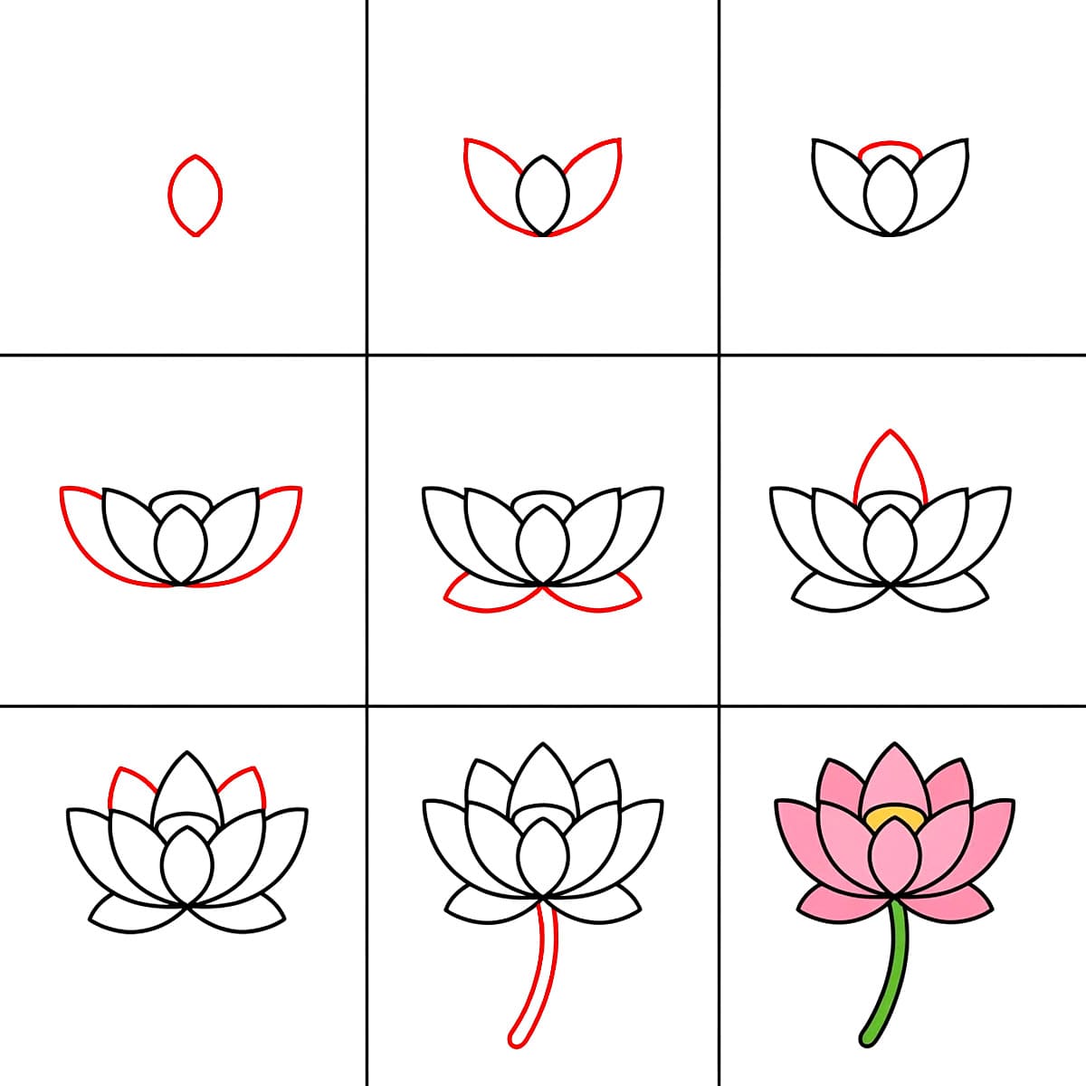 Lotus Blooming Drawing Ideas