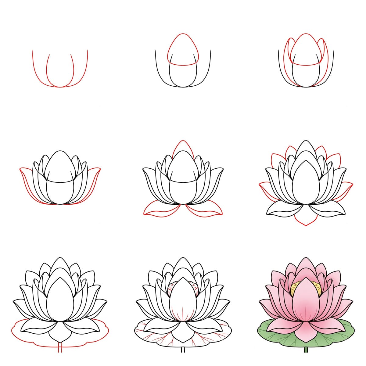 Lotus Charming Drawing Ideas
