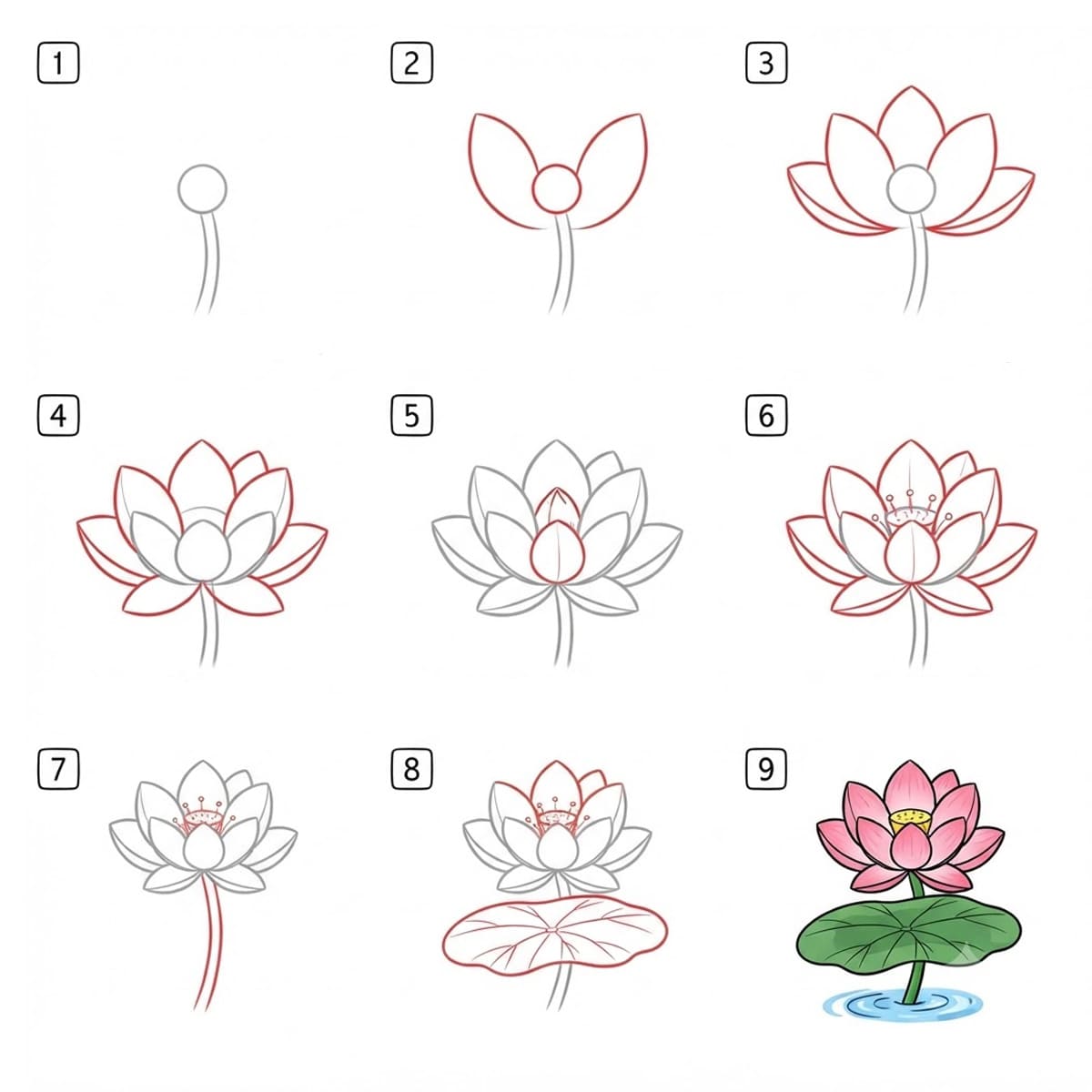 Lotus Delicate Drawing Ideas