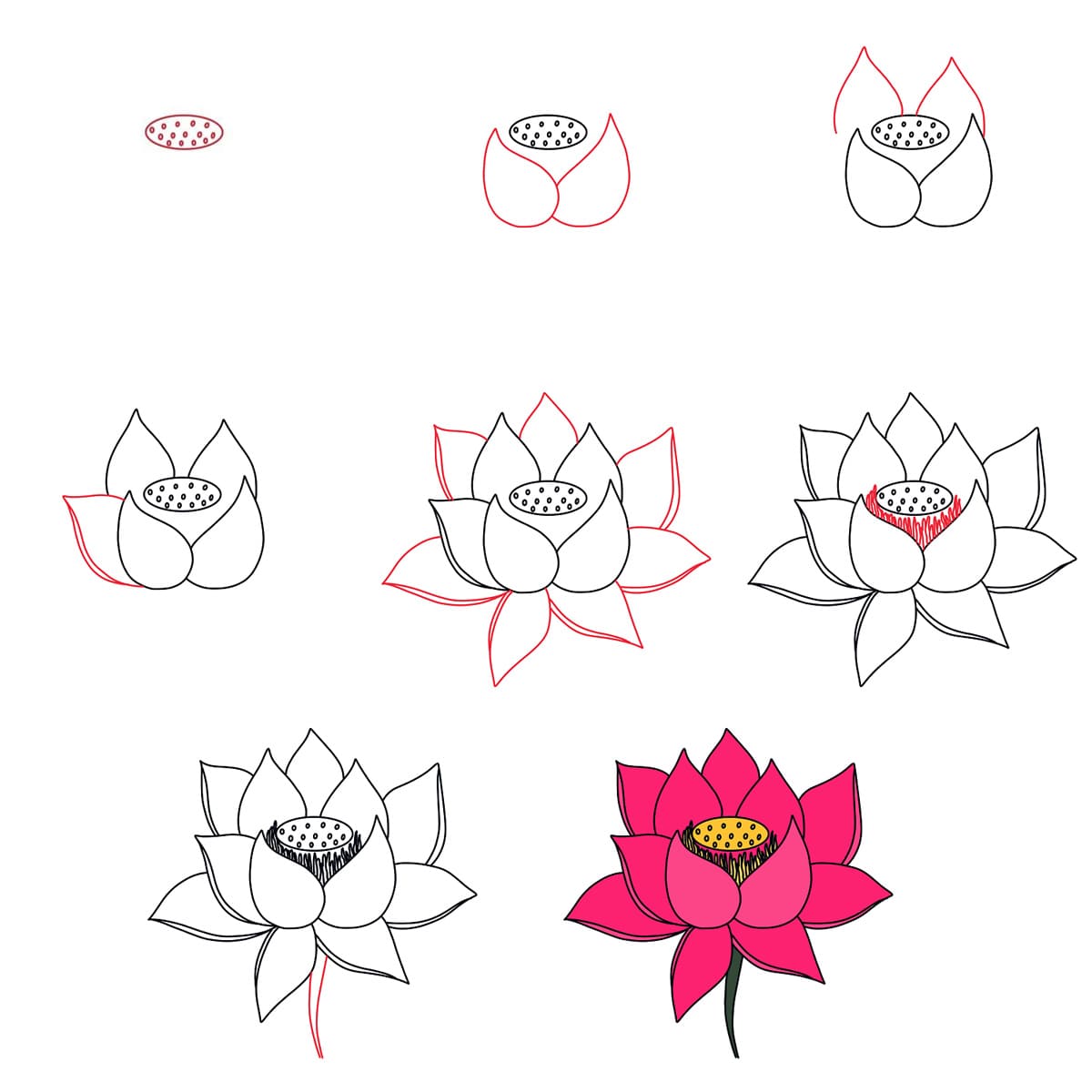 Lotus Floating Drawing Ideas