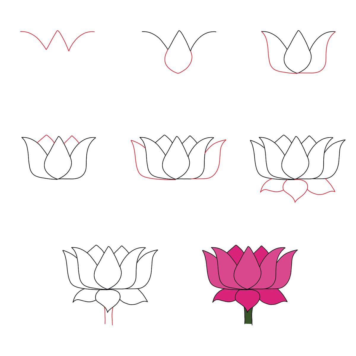 Lotus Graceful Drawing Ideas