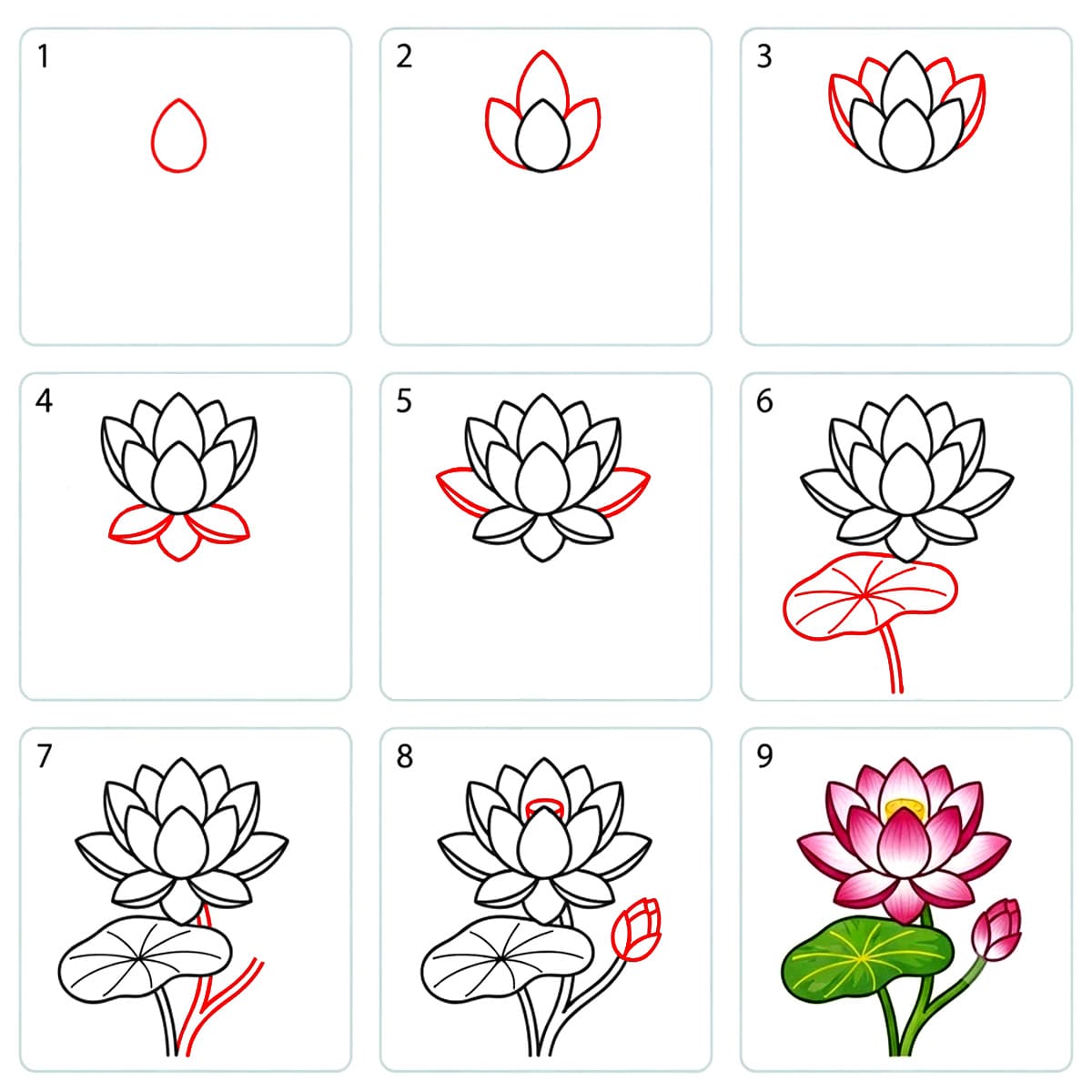 Lotus Lovely Drawing Ideas