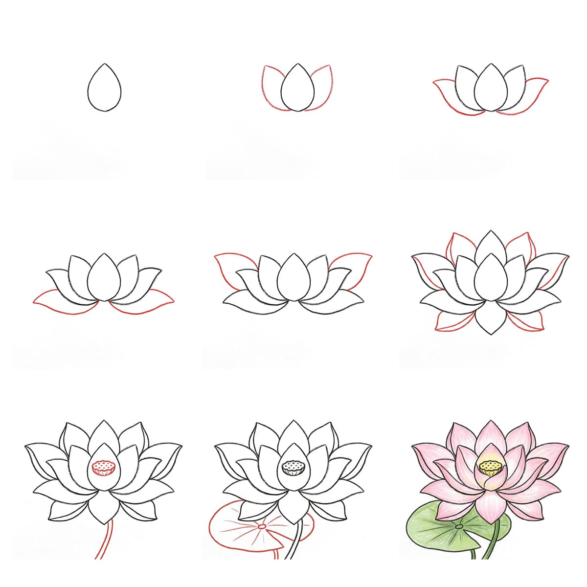 Lotus Natural Drawing Ideas