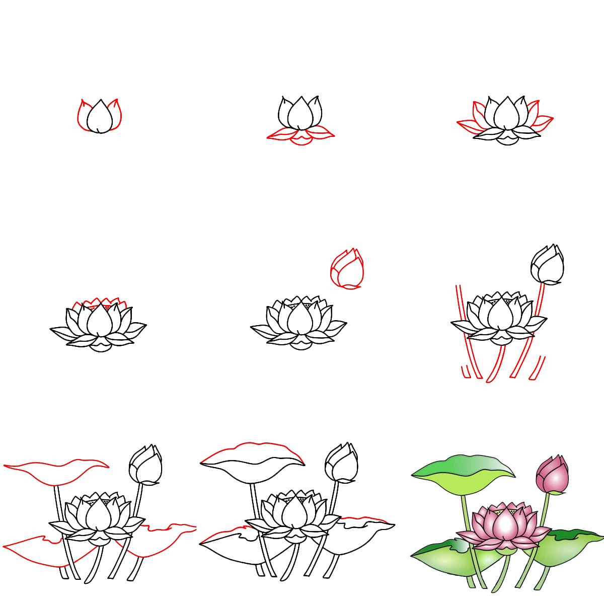 Lotus Peaceful Drawing Ideas