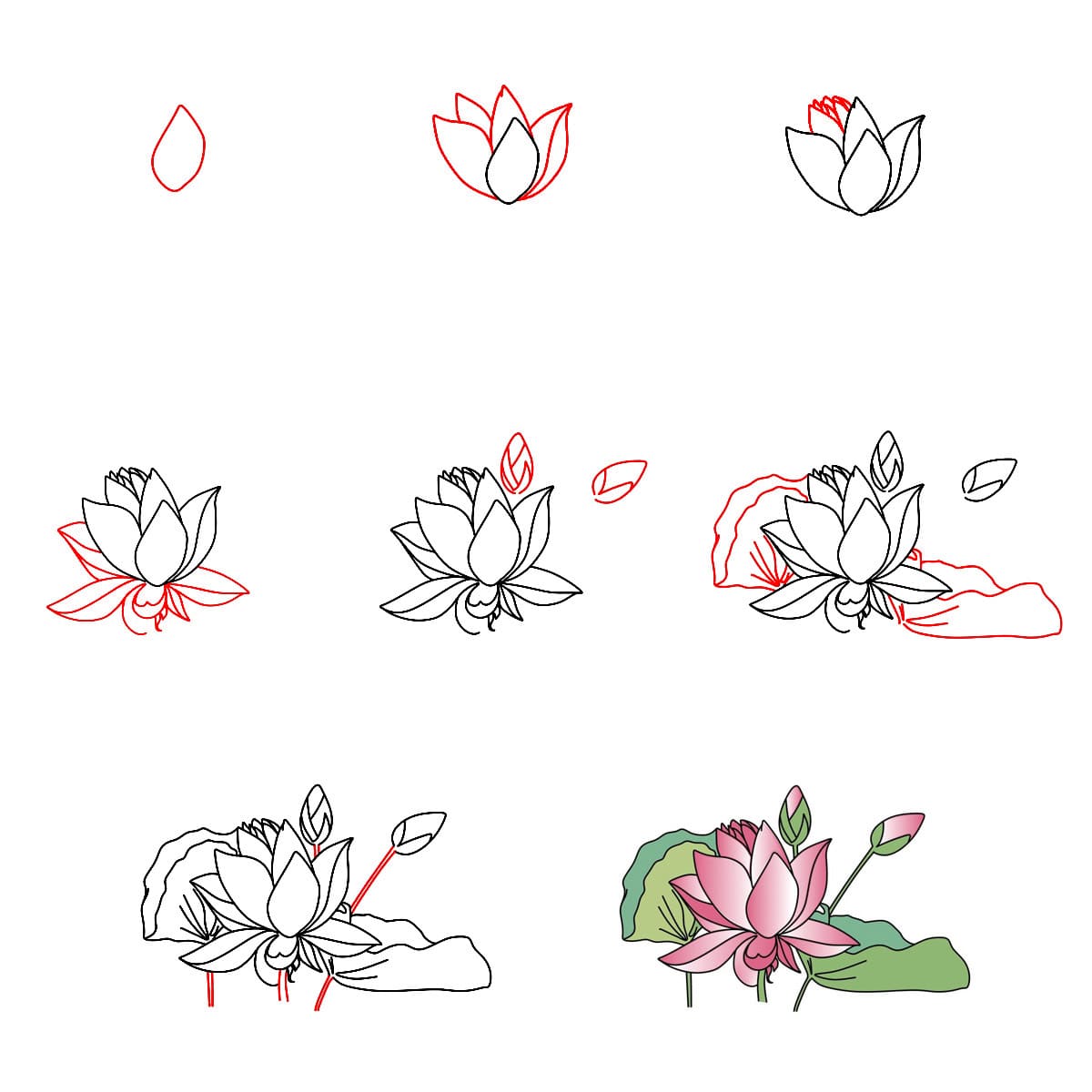 Lotus Scenic Drawing Ideas