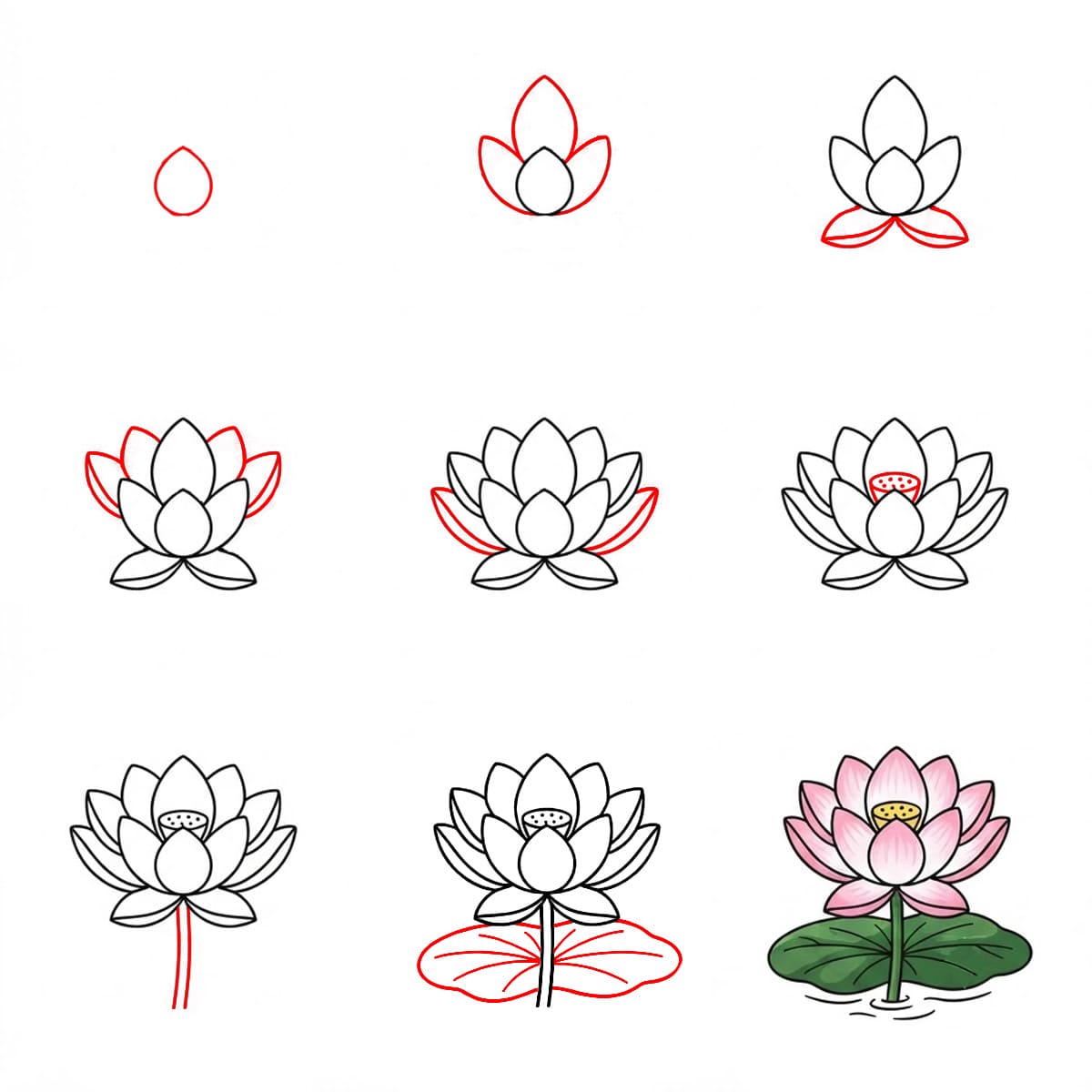 Lotus Serene Drawing Ideas