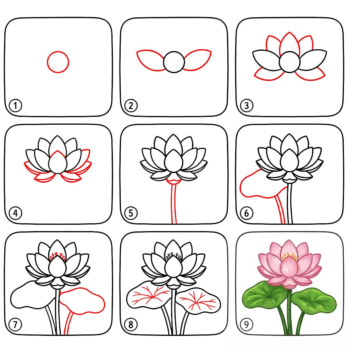 Lotus Simple Drawing Ideas