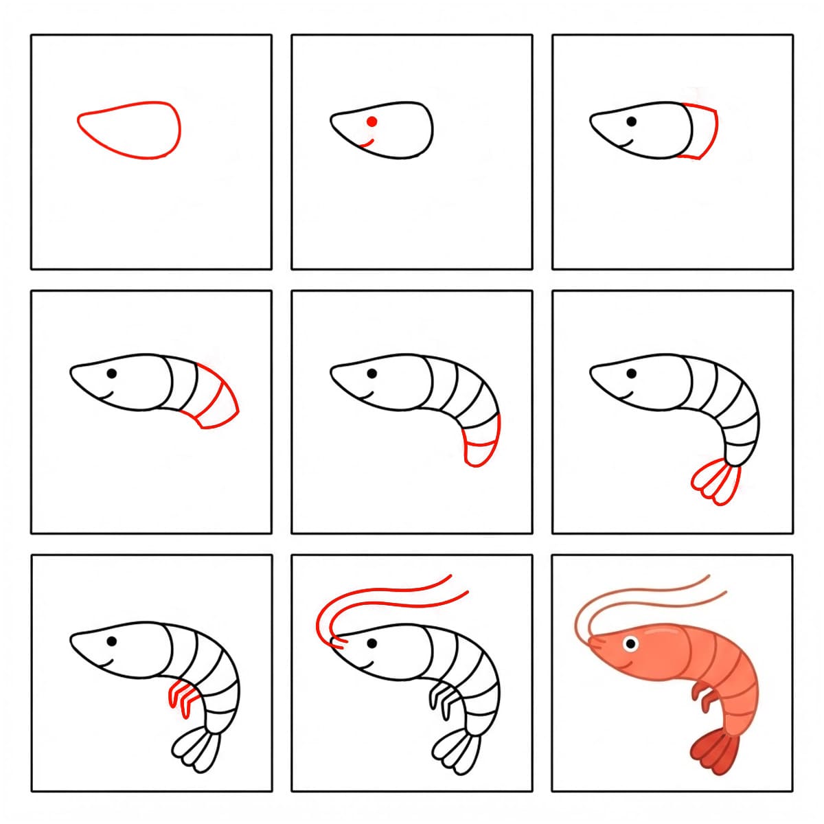 How to draw Shrimp easy