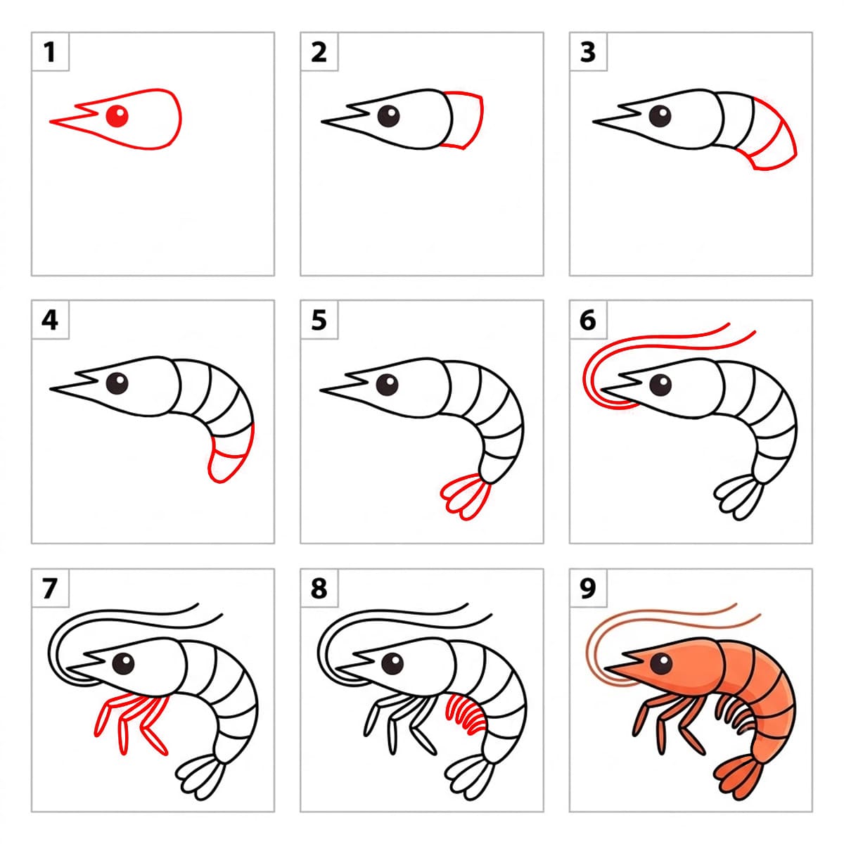 How to draw Shrimp image