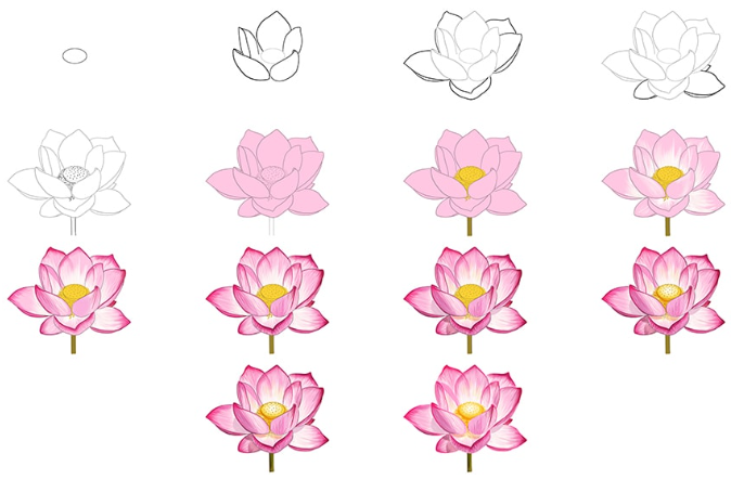 A beautiful lotus Drawing Ideas