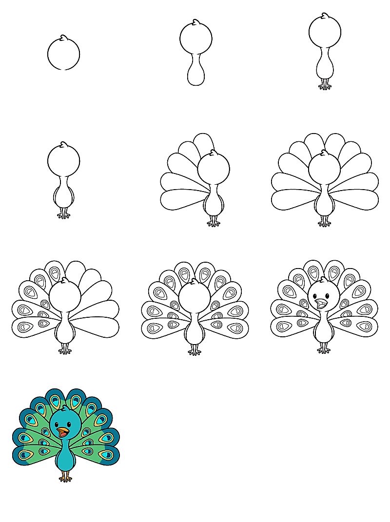 A cute peacock Drawing Ideas