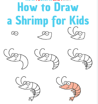 A cute shrimp Drawing Ideas
